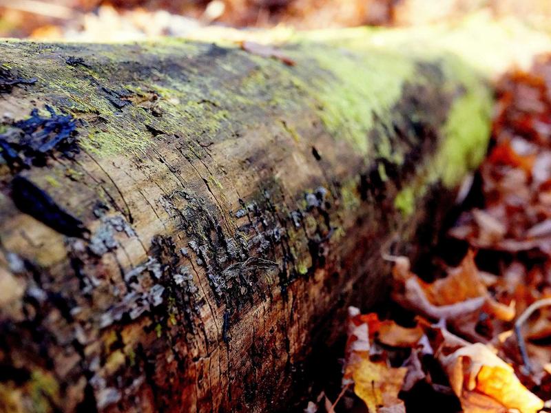 sudoku family sharing screenshot 4