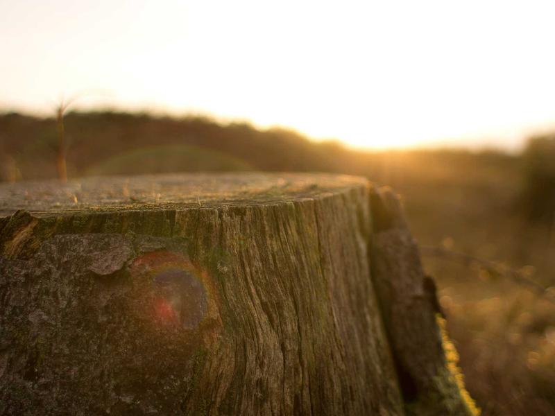 sudoku chain solving screenshot 5